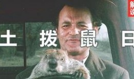 土拨鼠之日在线观看,穿越时空的奇妙循环